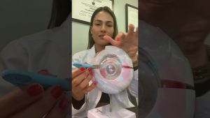 Caso real: vitrocerámica con fallo tras derrame